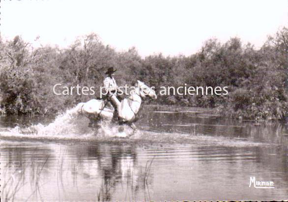 Cartes postales anciennes > CARTES POSTALES > carte postale ancienne > cartes-postales-ancienne.com  Saintes Maries De La Mer