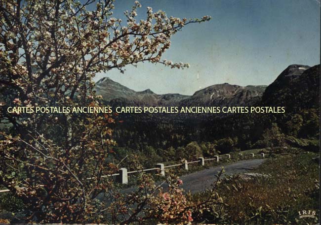 Cartes postales anciennes > CARTES POSTALES > carte postale ancienne > cartes-postales-ancienne.com Auvergne rhone alpes Cantal Dienne