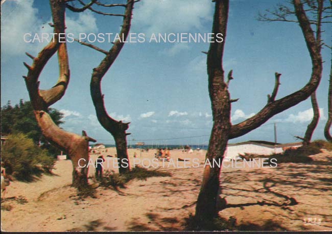 Cartes postales anciennes > CARTES POSTALES > carte postale ancienne > cartes-postales-ancienne.com Nouvelle aquitaine Boyardville