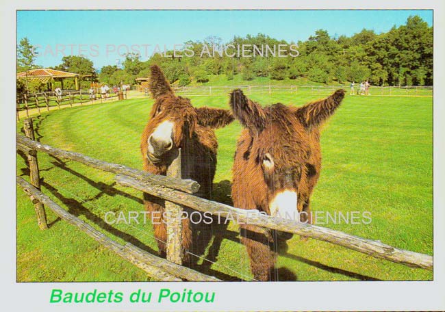 Cartes postales anciennes > CARTES POSTALES > carte postale ancienne > cartes-postales-ancienne.com Nouvelle aquitaine Brouage