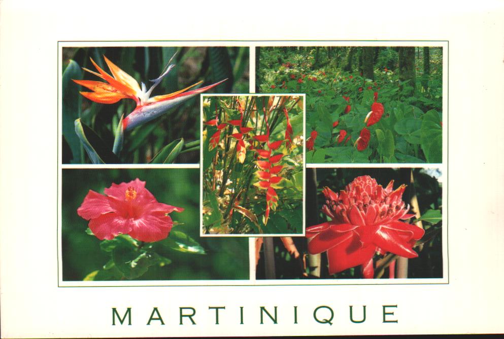 Cartes postales anciennes > CARTES POSTALES > carte postale ancienne > cartes-postales-ancienne.com Antilles francaises