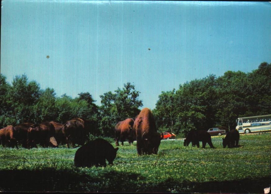 Cartes postales anciennes > CARTES POSTALES > carte postale ancienne > cartes-postales-ancienne.com  Peaugres