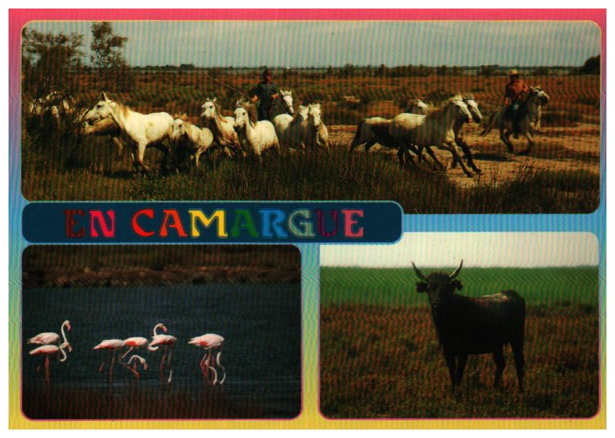 Cartes postales anciennes > CARTES POSTALES > carte postale ancienne > cartes-postales-ancienne.com  Arles