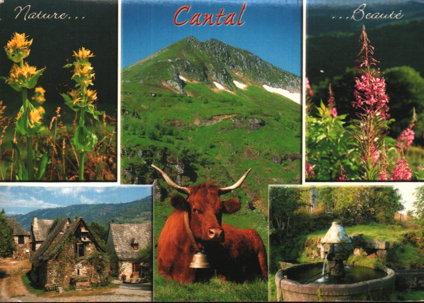 Cartes postales anciennes > CARTES POSTALES > carte postale ancienne > cartes-postales-ancienne.com  Murat