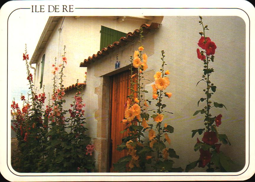 Cartes postales anciennes > CARTES POSTALES > carte postale ancienne > cartes-postales-ancienne.com  La Rochelle