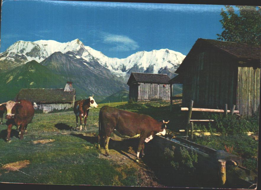 Cartes postales anciennes > CARTES POSTALES > carte postale ancienne > cartes-postales-ancienne.com Auvergne rhone alpes Haute savoie Chamonix Mont Blanc