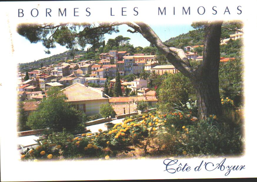 Cartes postales anciennes > CARTES POSTALES > carte postale ancienne > cartes-postales-ancienne.com Provence alpes cote d'azur Var Bormes Les Mimosas