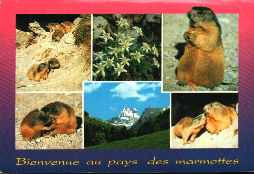 Cartes postales anciennes > CARTES POSTALES > carte postale ancienne > cartes-postales-ancienne.com Provence alpes cote d'azur Var Six Fours Les Plages