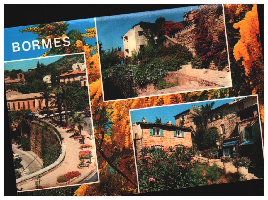 Cartes postales anciennes > CARTES POSTALES > carte postale ancienne > cartes-postales-ancienne.com Provence alpes cote d'azur Var Bormes Les Mimosas