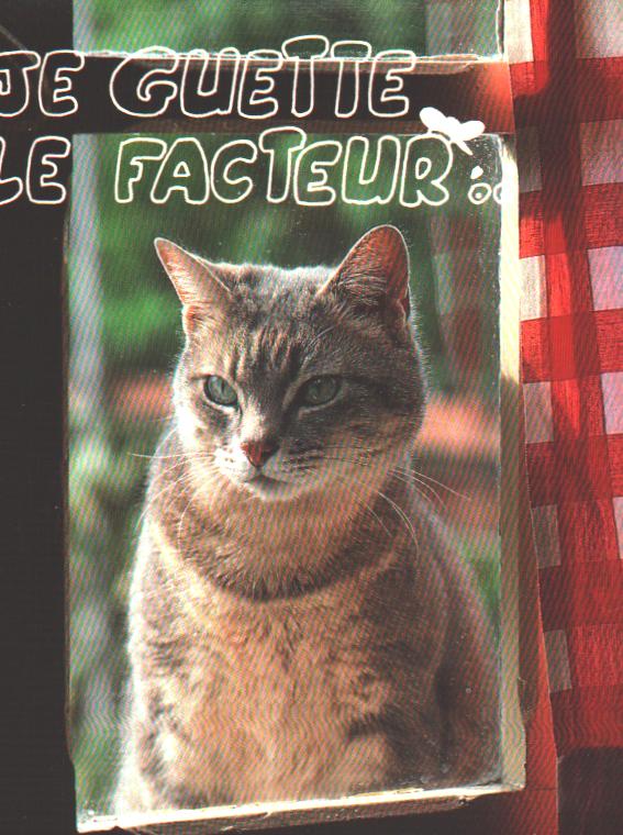 Cartes postales anciennes > CARTES POSTALES > carte postale ancienne > cartes-postales-ancienne.com Animaux Chats