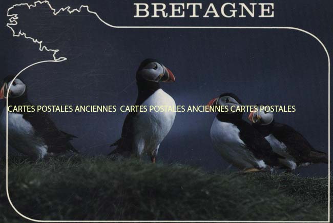 Cartes postales anciennes > CARTES POSTALES > carte postale ancienne > cartes-postales-ancienne.com Bretagne Cote d'armor