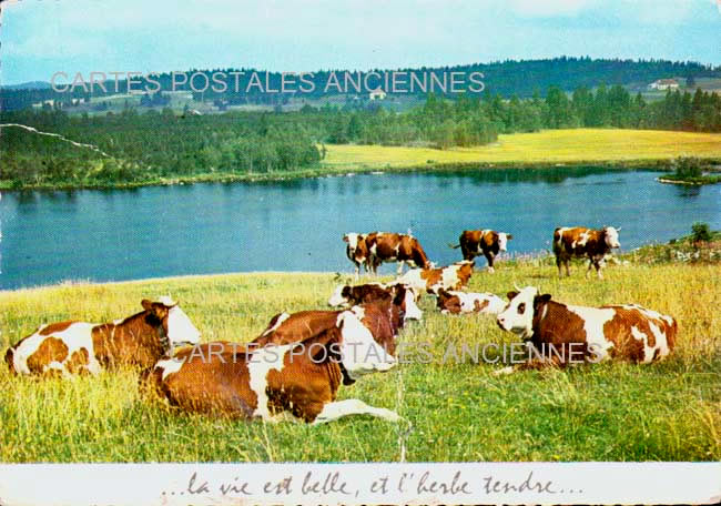 Cartes postales anciennes > CARTES POSTALES > carte postale ancienne > cartes-postales-ancienne.com Bourgogne franche comte Chapelle Des Bois