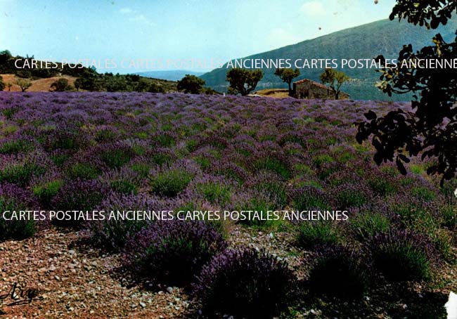 Cartes postales anciennes > CARTES POSTALES > carte postale ancienne > cartes-postales-ancienne.com Auvergne rhone alpes Drome