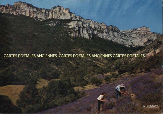 Cartes postales anciennes > CARTES POSTALES > carte postale ancienne > cartes-postales-ancienne.com Auvergne rhone alpes Drome Die