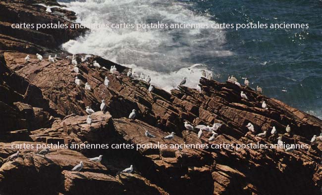 Cartes postales anciennes > CARTES POSTALES > carte postale ancienne > cartes-postales-ancienne.com Bretagne Finistere