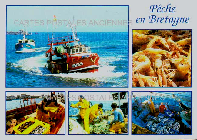 Cartes postales anciennes > CARTES POSTALES > carte postale ancienne > cartes-postales-ancienne.com Bretagne Brest