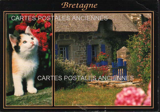 Cartes postales anciennes > CARTES POSTALES > carte postale ancienne > cartes-postales-ancienne.com Bretagne Brest