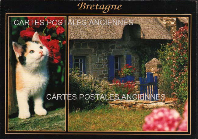 Cartes postales anciennes > CARTES POSTALES > carte postale ancienne > cartes-postales-ancienne.com Bretagne Brest