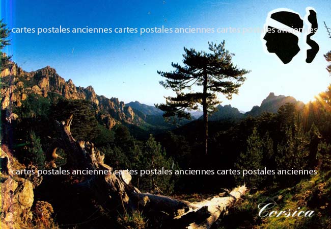 Cartes postales anciennes > CARTES POSTALES > carte postale ancienne > cartes-postales-ancienne.com Corse du sud 2a