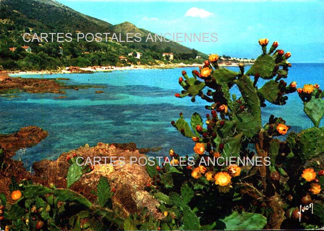 Cartes postales anciennes > CARTES POSTALES > carte postale ancienne > cartes-postales-ancienne.com Corse du sud 2a Ajaccio