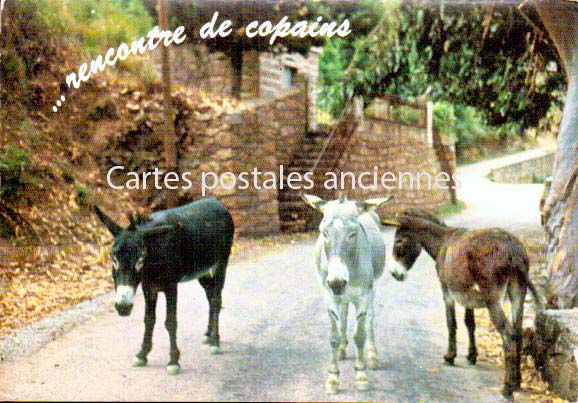 Cartes postales anciennes > CARTES POSTALES > carte postale ancienne > cartes-postales-ancienne.com  Ajaccio