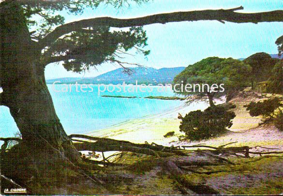 Cartes postales anciennes > CARTES POSTALES > carte postale ancienne > cartes-postales-ancienne.com  Ajaccio