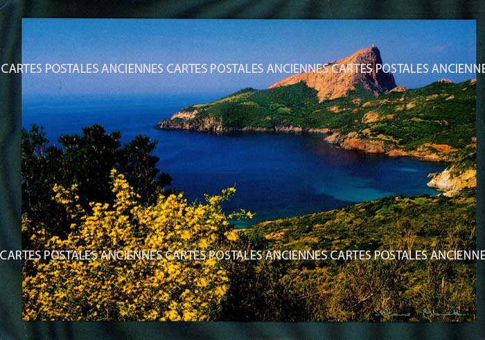 Cartes postales anciennes > CARTES POSTALES > carte postale ancienne > cartes-postales-ancienne.com Corse  Haute corse 2b Lucciana