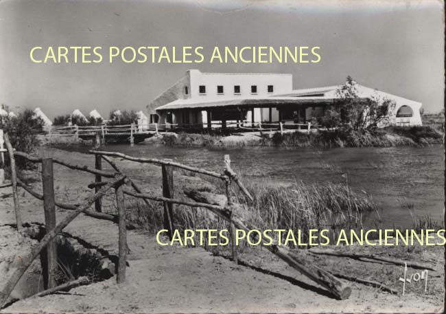 Cartes postales anciennes > CARTES POSTALES > carte postale ancienne > cartes-postales-ancienne.com Occitanie Saint Gilles