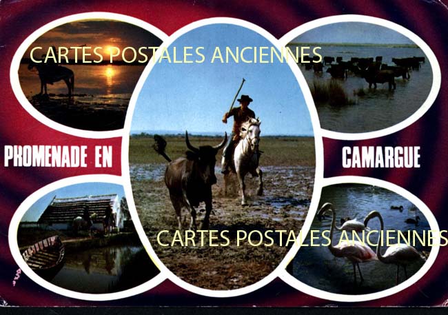 Cartes postales anciennes > CARTES POSTALES > carte postale ancienne > cartes-postales-ancienne.com Occitanie Gard Le Grau Du Roi