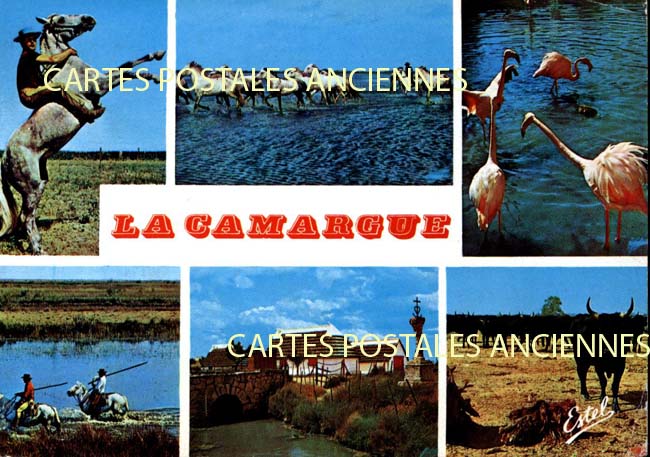 Cartes postales anciennes > CARTES POSTALES > carte postale ancienne > cartes-postales-ancienne.com Occitanie Gard Le Grau Du Roi