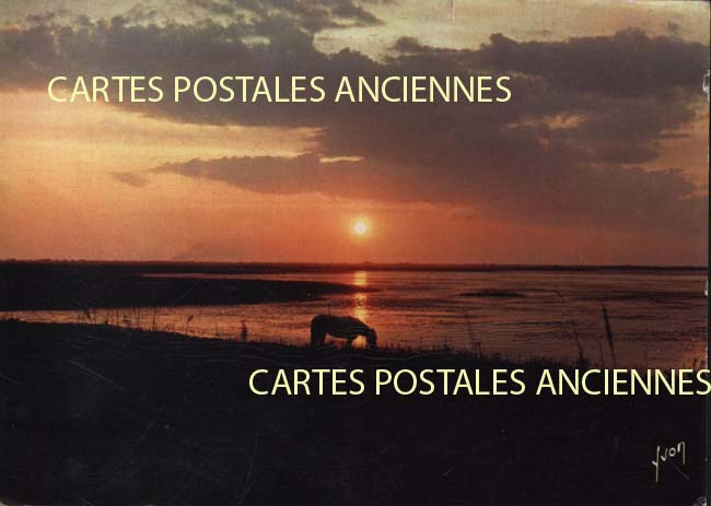 Cartes postales anciennes > CARTES POSTALES > carte postale ancienne > cartes-postales-ancienne.com Occitanie Aigues Mortes