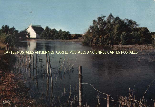 Cartes postales anciennes > CARTES POSTALES > carte postale ancienne > cartes-postales-ancienne.com Occitanie Gard Le Grau Du Roi