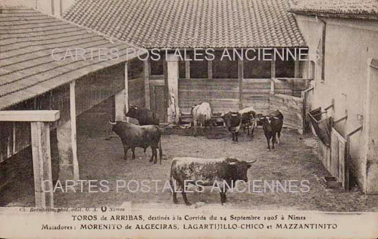 Cartes postales anciennes > CARTES POSTALES > carte postale ancienne > cartes-postales-ancienne.com Gard 30 Nimes