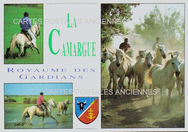 Cartes postales anciennes > CARTES POSTALES > carte postale ancienne > cartes-postales-ancienne.com Gard 30 Le Grau Du Roi