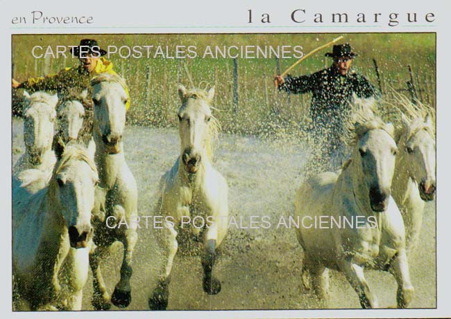 Cartes postales anciennes > CARTES POSTALES > carte postale ancienne > cartes-postales-ancienne.com Gard 30 Aigues Mortes