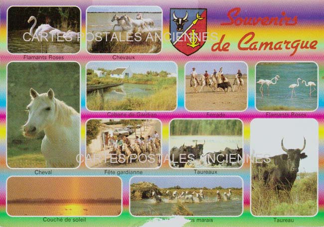 Cartes postales anciennes > CARTES POSTALES > carte postale ancienne > cartes-postales-ancienne.com Gard 30 Aigues Mortes