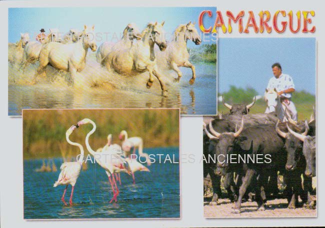 Cartes postales anciennes > CARTES POSTALES > carte postale ancienne > cartes-postales-ancienne.com Gard 30 Aigues Mortes