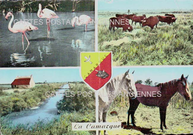 Cartes postales anciennes > CARTES POSTALES > carte postale ancienne > cartes-postales-ancienne.com Gard 30 Aigues Mortes