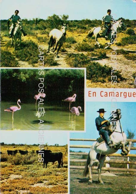 Cartes postales anciennes > CARTES POSTALES > carte postale ancienne > cartes-postales-ancienne.com Gard 30 Aigues Mortes