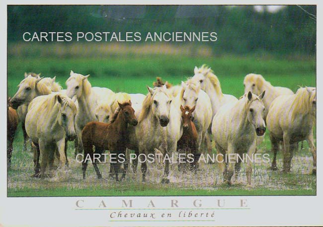 Cartes postales anciennes > CARTES POSTALES > carte postale ancienne > cartes-postales-ancienne.com Gard 30 Aigues Mortes