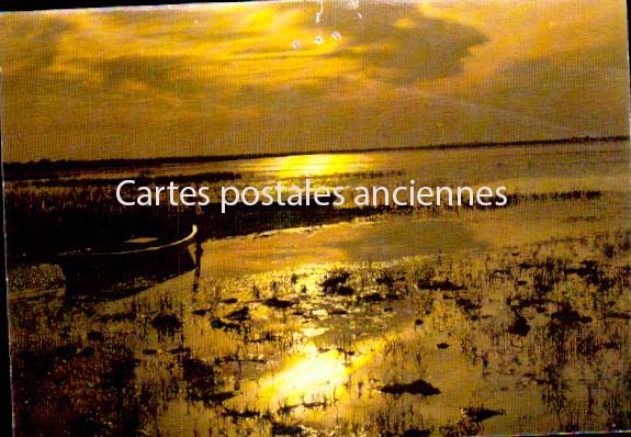 Cartes postales anciennes > CARTES POSTALES > carte postale ancienne > cartes-postales-ancienne.com  Le Grau Du Roi