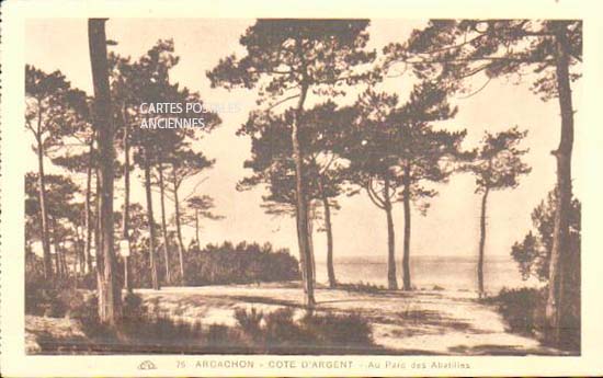 Cartes postales anciennes > CARTES POSTALES > carte postale ancienne > cartes-postales-ancienne.com Nouvelle aquitaine Gironde Arcachon