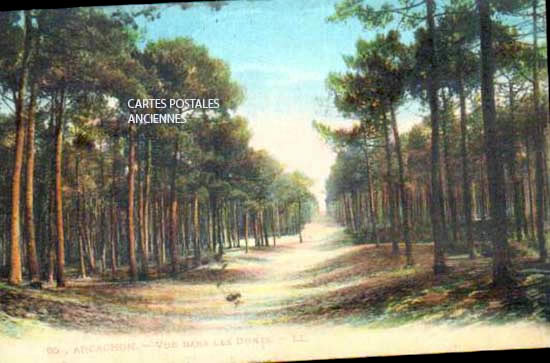 Cartes postales anciennes > CARTES POSTALES > carte postale ancienne > cartes-postales-ancienne.com Nouvelle aquitaine Gironde Arcachon