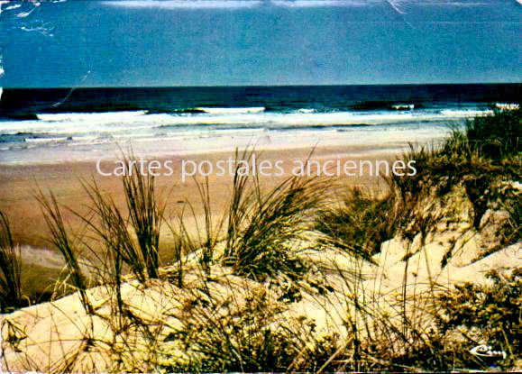 Cartes postales anciennes > CARTES POSTALES > carte postale ancienne > cartes-postales-ancienne.com  Pyla Sur Mer