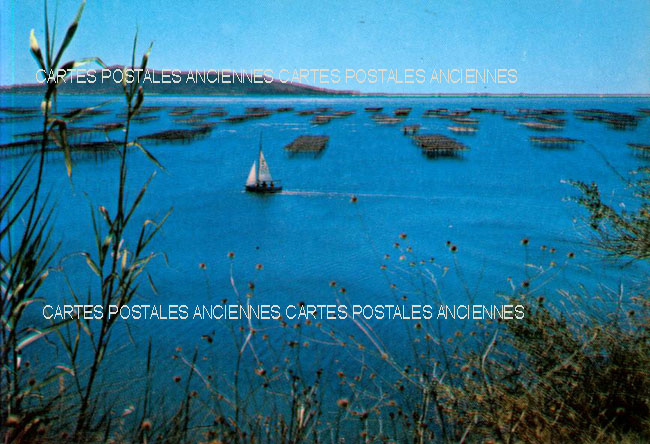 Cartes postales anciennes > CARTES POSTALES > carte postale ancienne > cartes-postales-ancienne.com Herault 34 Montpellier