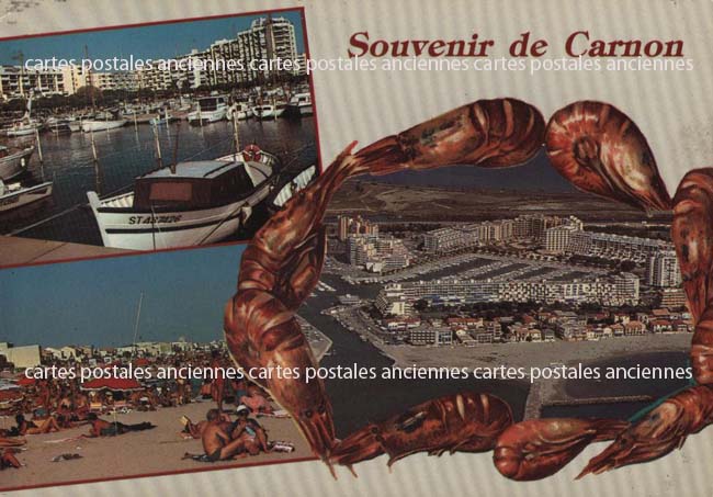 Cartes postales anciennes > CARTES POSTALES > carte postale ancienne > cartes-postales-ancienne.com Herault 34