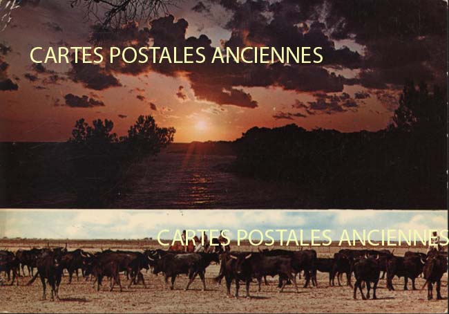 Cartes postales anciennes > CARTES POSTALES > carte postale ancienne > cartes-postales-ancienne.com Bouches du rhone 13 Arles