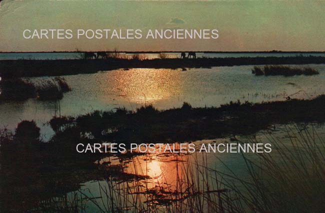 Cartes postales anciennes > CARTES POSTALES > carte postale ancienne > cartes-postales-ancienne.com Occitanie Herault Palavas Les Flots