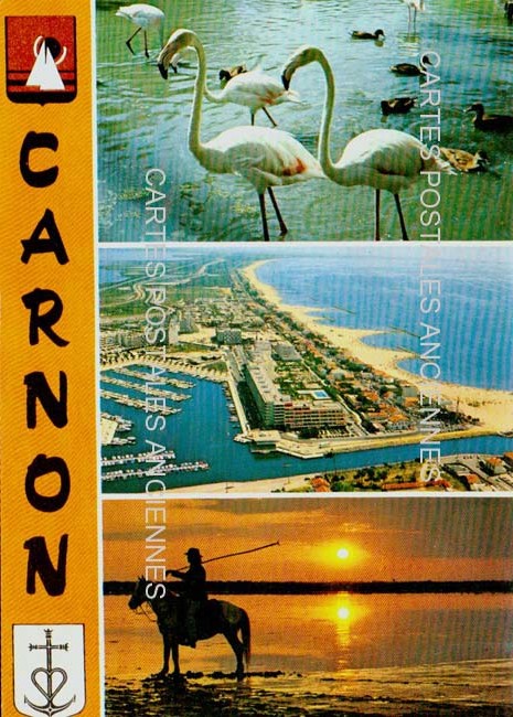 Cartes postales anciennes > CARTES POSTALES > carte postale ancienne > cartes-postales-ancienne.com Occitanie Herault Carnon Plage