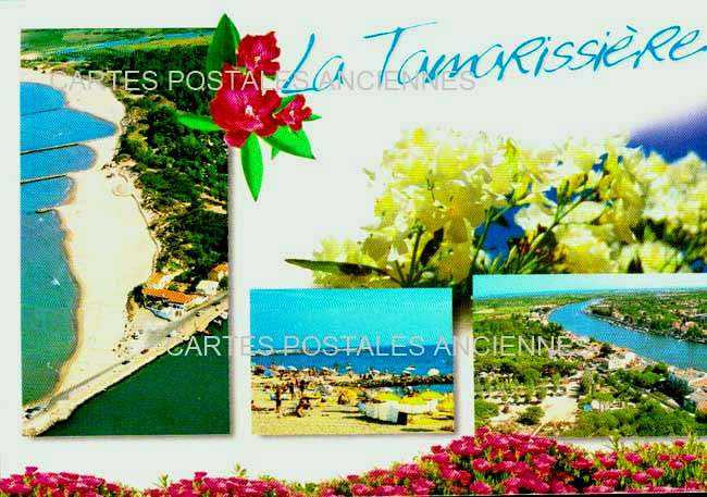 Cartes postales anciennes > CARTES POSTALES > carte postale ancienne > cartes-postales-ancienne.com Occitanie Herault Agde